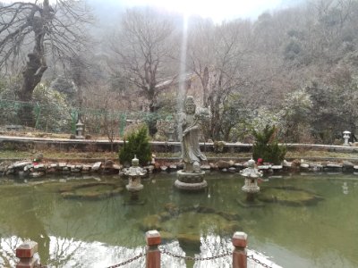Free Life Pond, Guangji Temple (Hunan), picture1