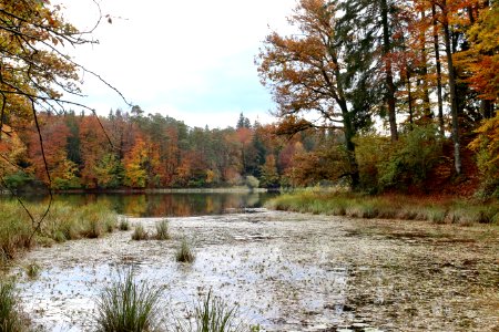 Frechensee