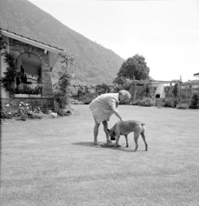 Frederic von Eugen met zijn hond Leo bij zijn huis in Losone (Tessin), Bestanddeelnr 254-5579