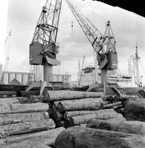 Fraude met hout in Houthaven, de houthaven van Amsterdam, Bestanddeelnr 918-1684
