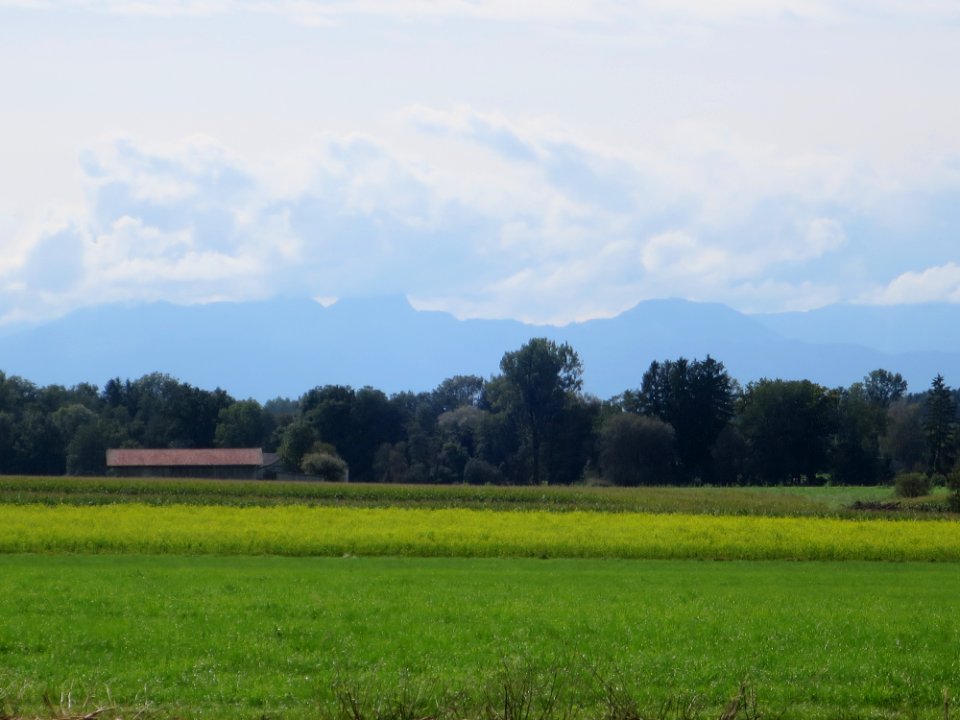 Frauenneuhartinger Filz 2