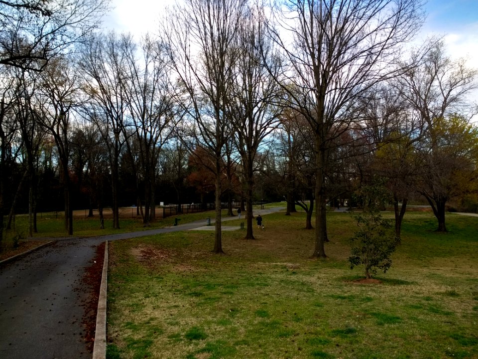 Frazier Park, Charlotte 1