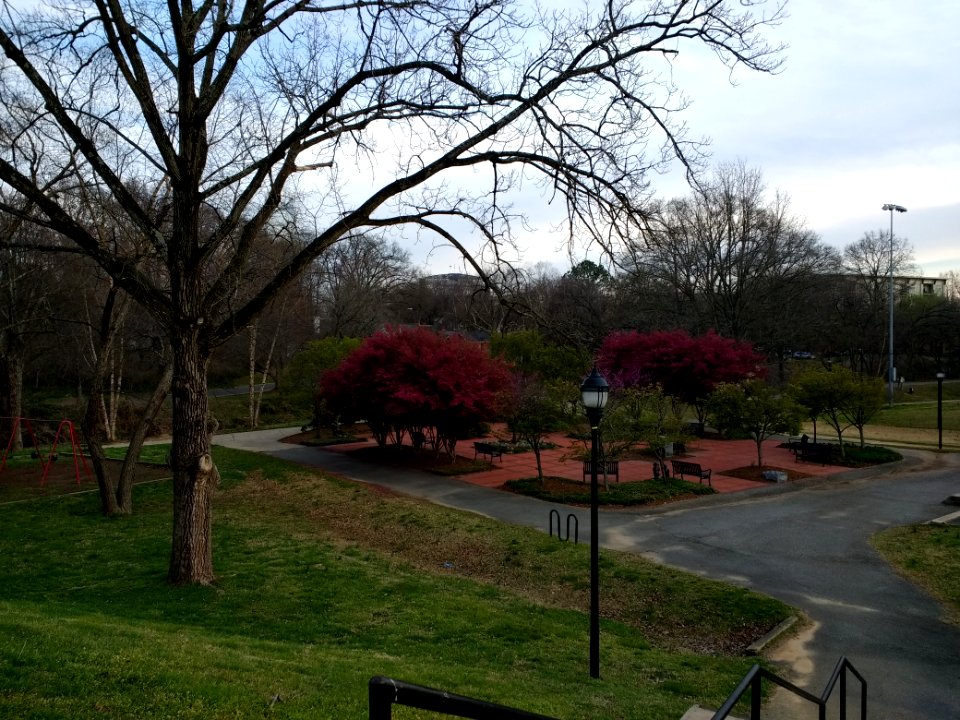 Frazier Park, Charlotte 3