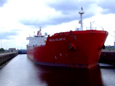 Freja Atlantic IMO 9278519 in the locks at IJmuiden, Holland 15-Jun-2008