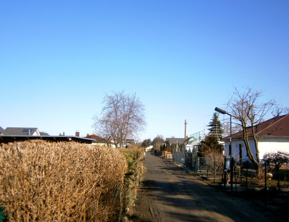 FranzBuchholz Tomatenweg Nord7