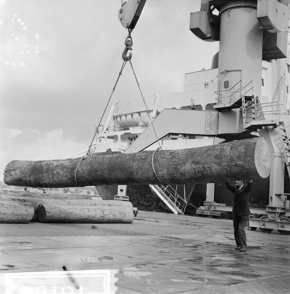 Fraude met hout in Houthaven, de houthaven van Amsterdam, Bestanddeelnr 918-1685