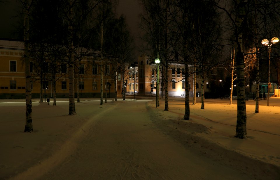 Franzeninpuisto Oulu 20160123