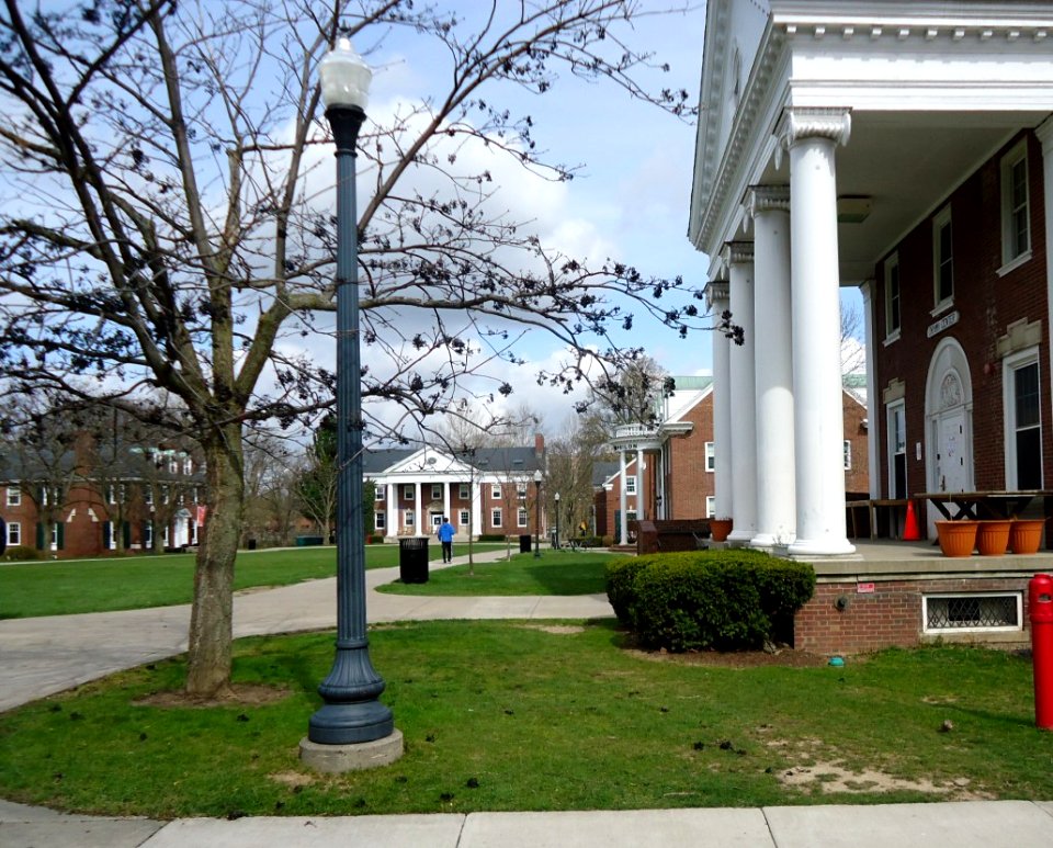 Fraternity quad and lamp at the University of Rochester