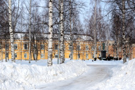 Franzeninpuisto Oulu 20210312