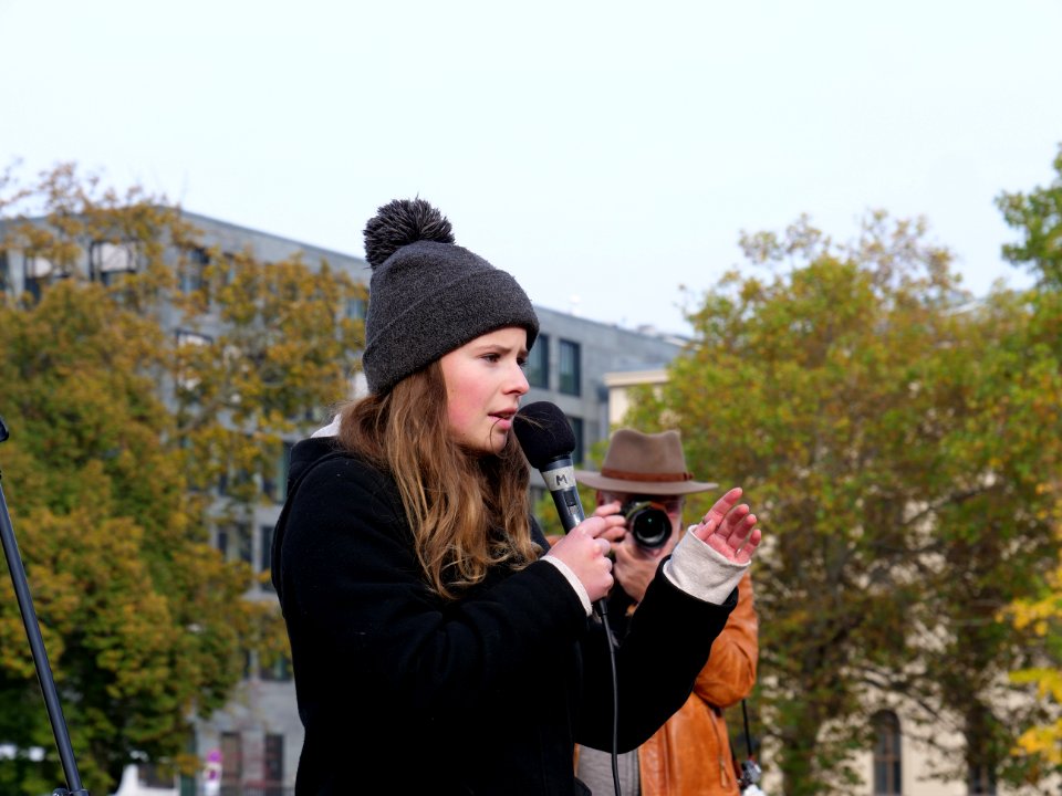 FridaysForFuture protest Berlin 01-11-2019 21