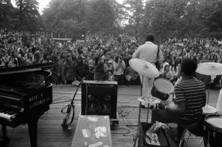 Free-concert van Freddie King in het Vondelpark, Bestanddeelnr 926-5318