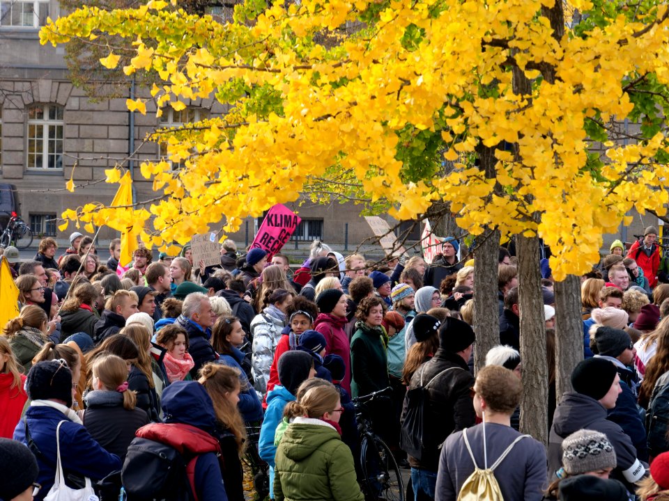 FridaysForFuture protest Berlin 01-11-2019 37