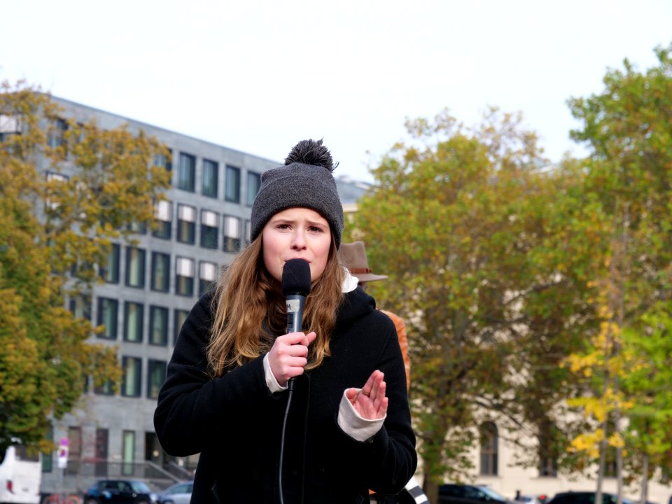 FridaysForFuture protest Berlin 01-11-2019 19