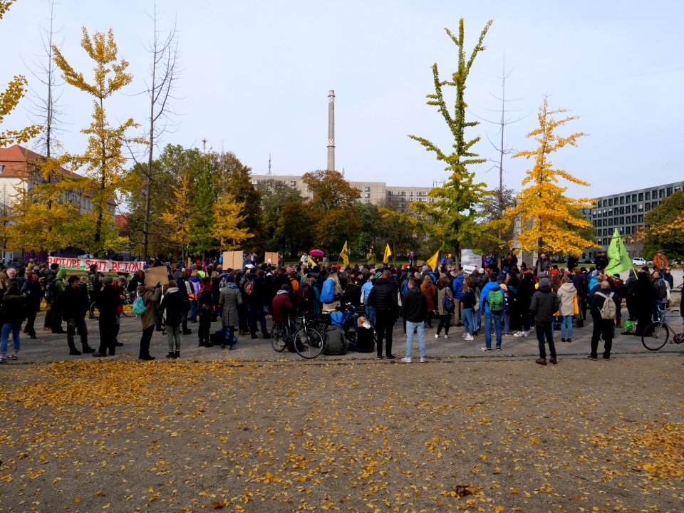 FridaysForFuture protest Berlin 01-11-2019 32