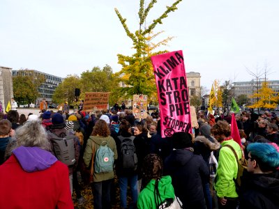 FridaysForFuture protest Berlin 01-11-2019 29