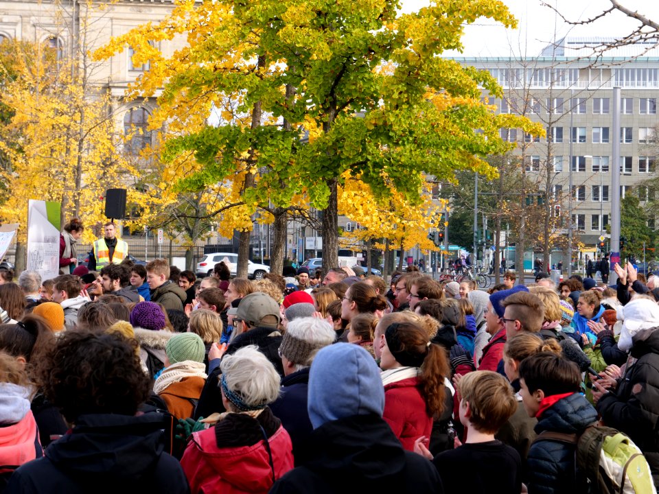 FridaysForFuture protest Berlin 01-11-2019 27