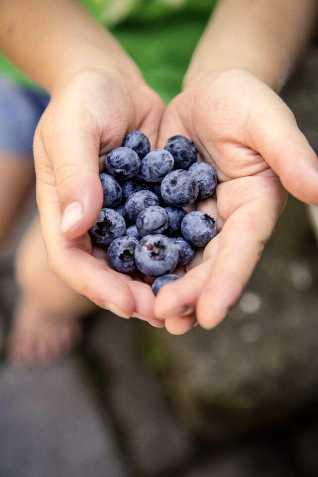Delicious food nutrition