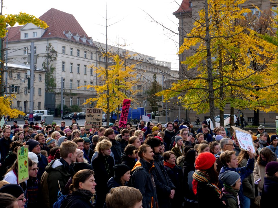 FridaysForFuture protest Berlin 01-11-2019 15