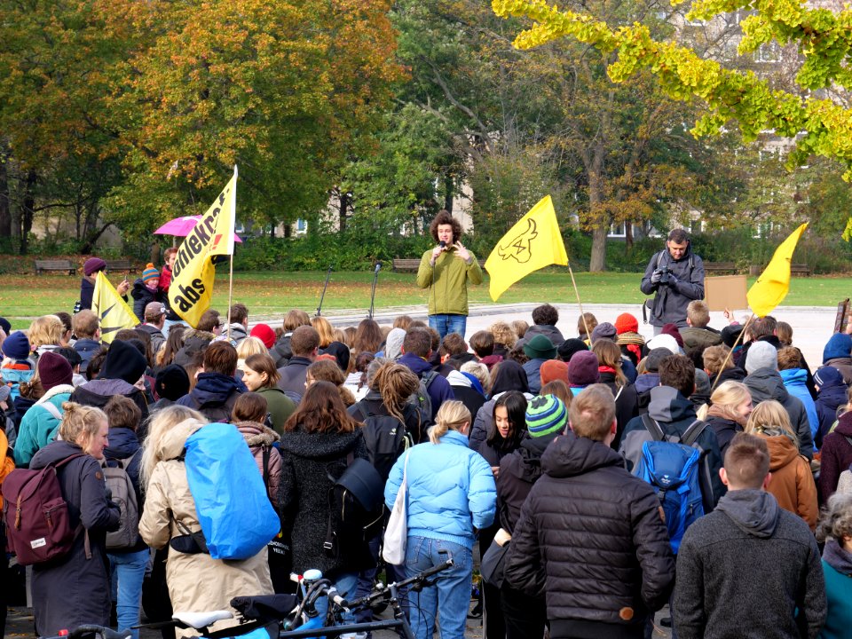 FridaysForFuture protest Berlin 01-11-2019 33