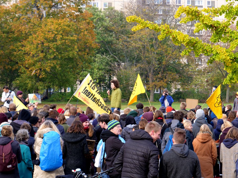 FridaysForFuture protest Berlin 01-11-2019 31