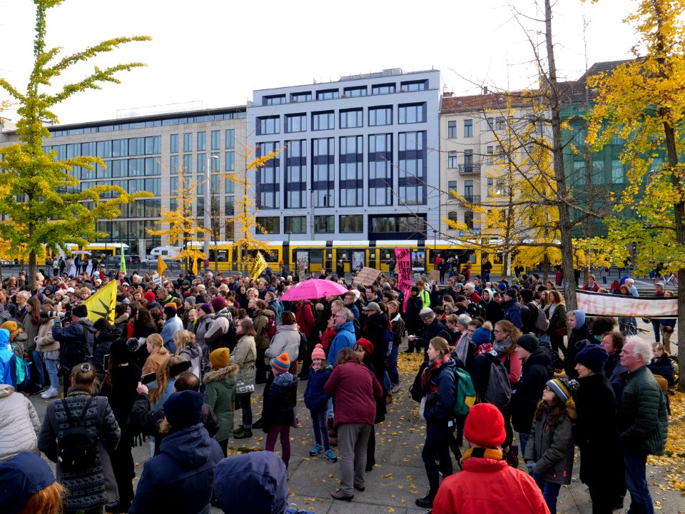 FridaysForFuture protest Berlin 01-11-2019 09