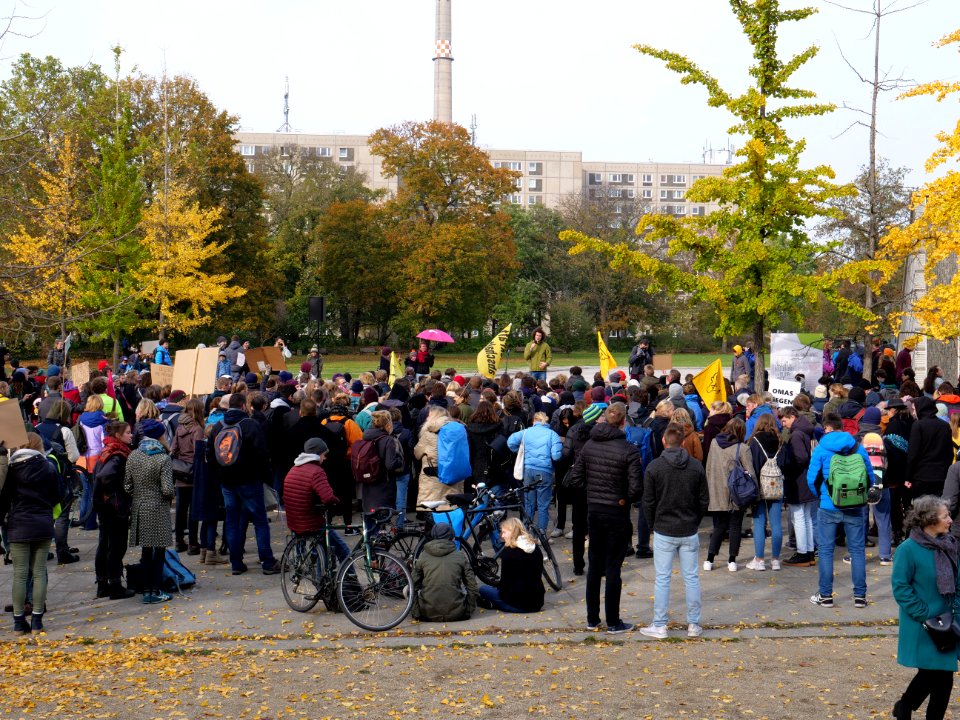 FridaysForFuture protest Berlin 01-11-2019 34