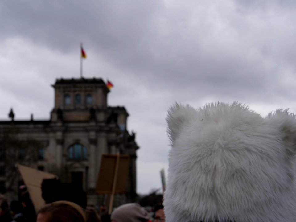 FridaysForFuture demonstration Berlin 15-03-2019 17