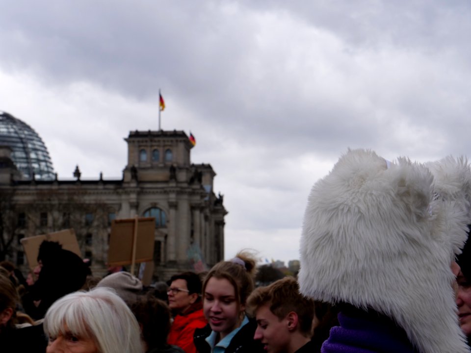 FridaysForFuture demonstration Berlin 15-03-2019 18
