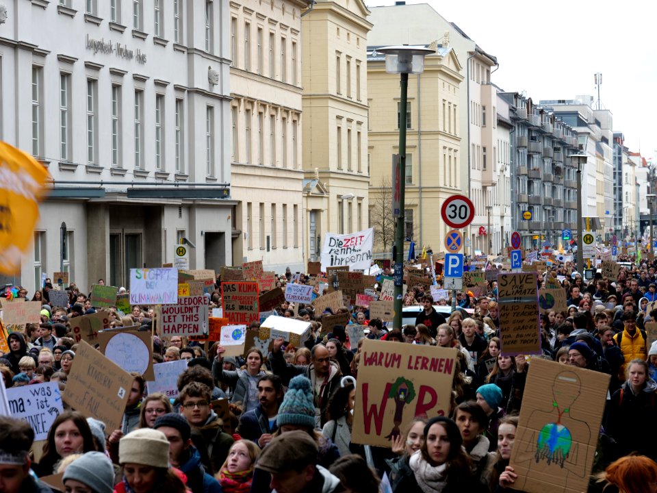 FridaysForFuture demonstration Berlin 15-03-2019 99