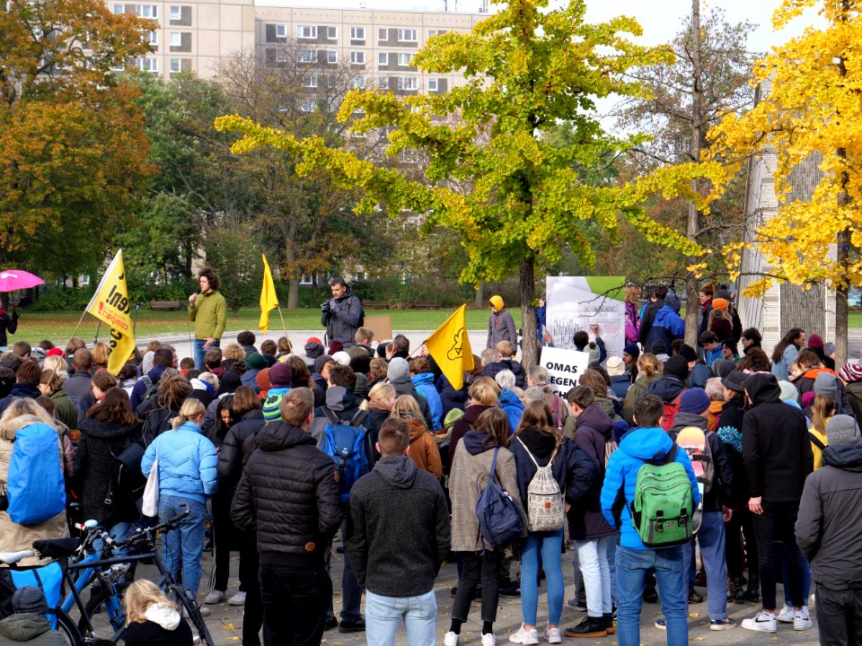 FridaysForFuture protest Berlin 01-11-2019 35