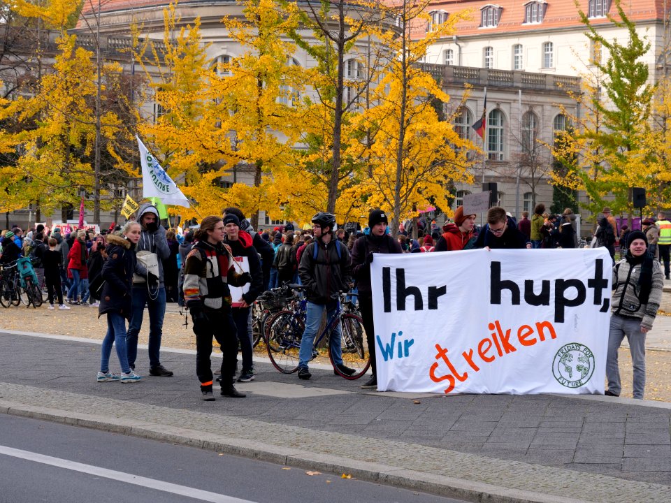 FridaysForFuture protest Berlin 01-11-2019 43