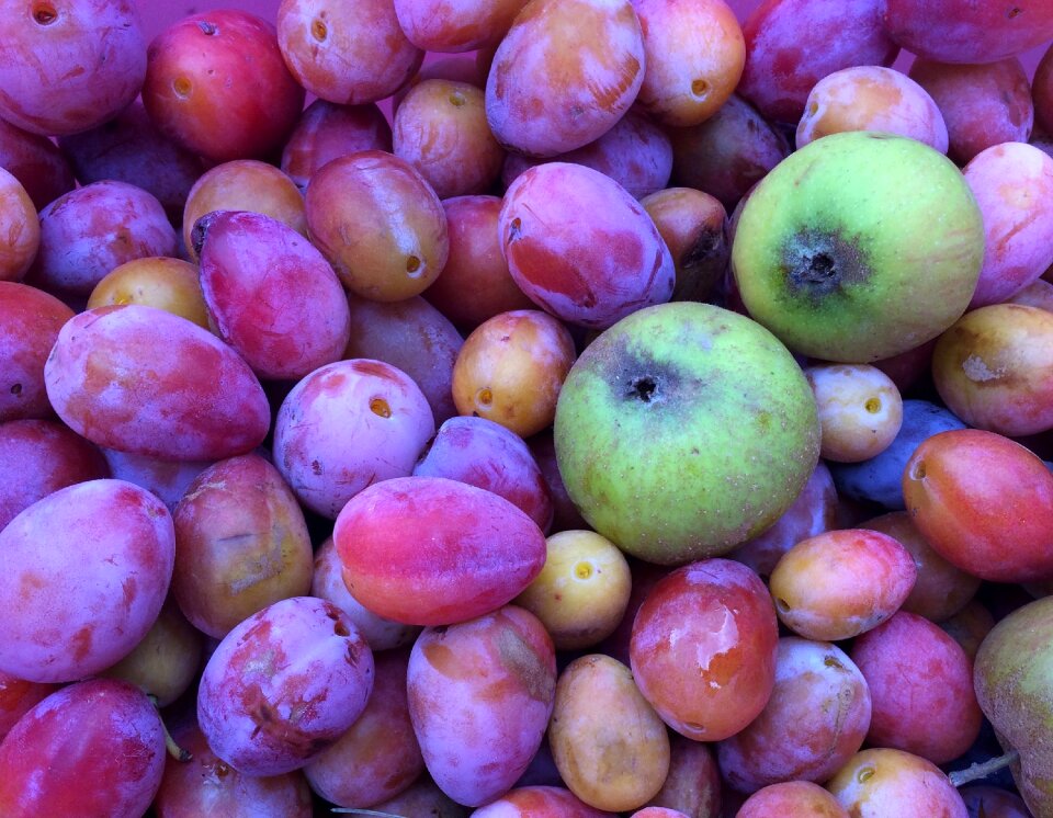 Fruits fresh pink