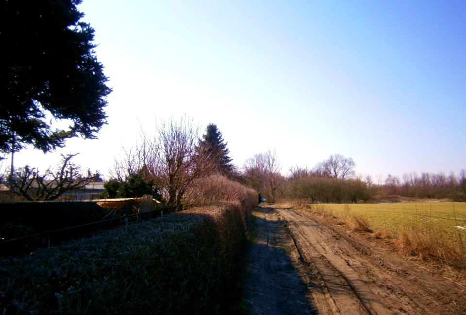 FranzBuchholz Straße123 Süd2