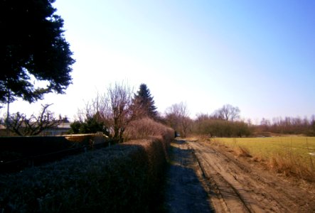FranzBuchholz Straße123 Süd2
