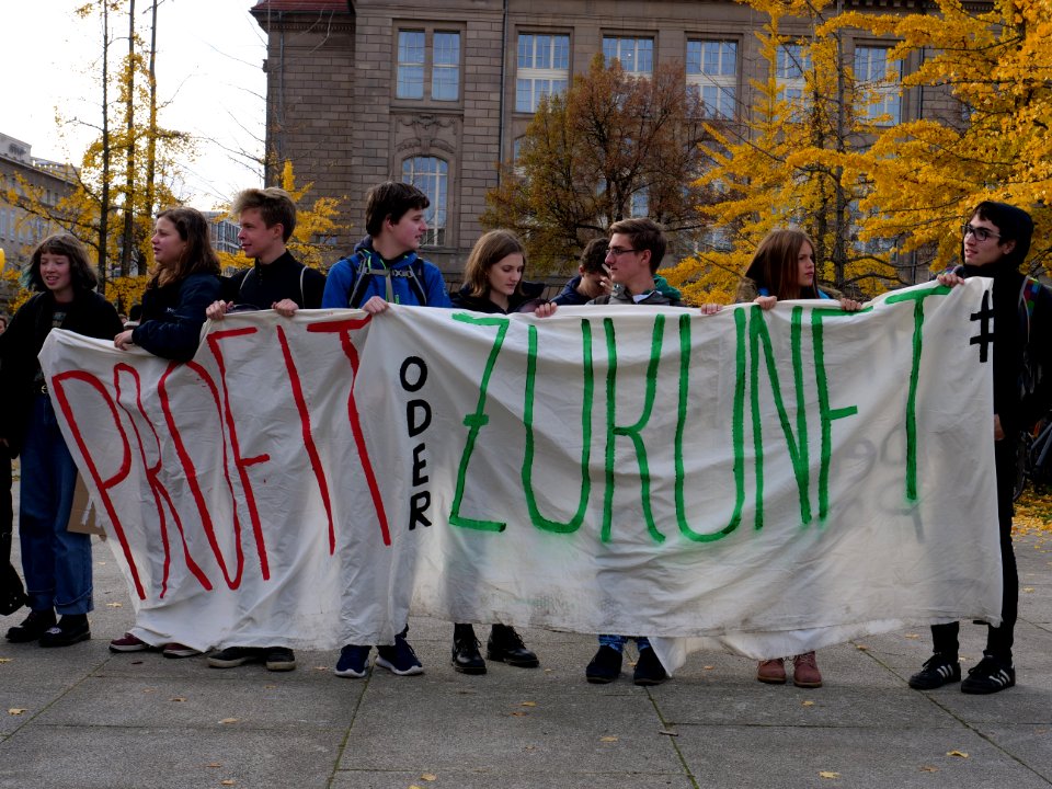 FridaysForFuture protest Berlin 08-11-2019 Invalidenpark 16