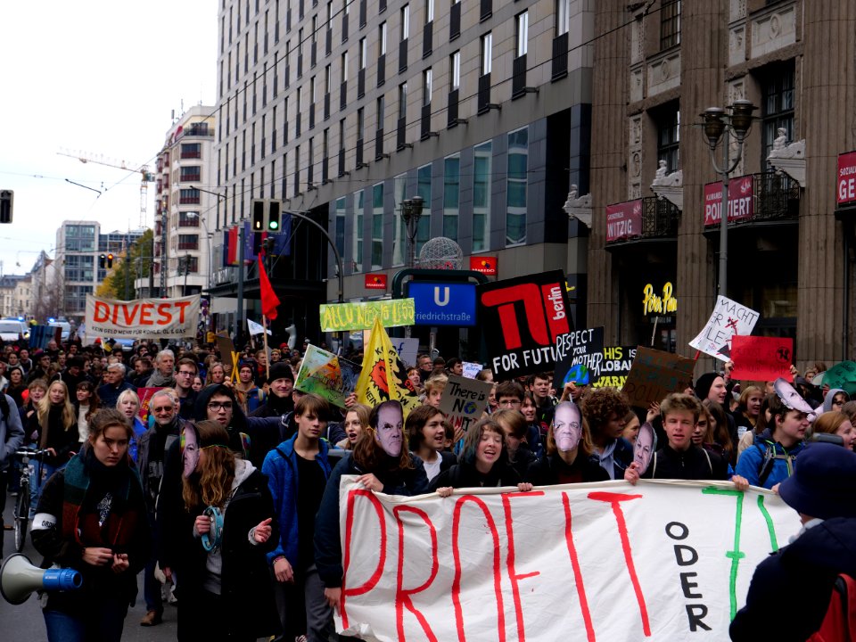 FridaysForFuture protest Berlin 08-11-2019 52