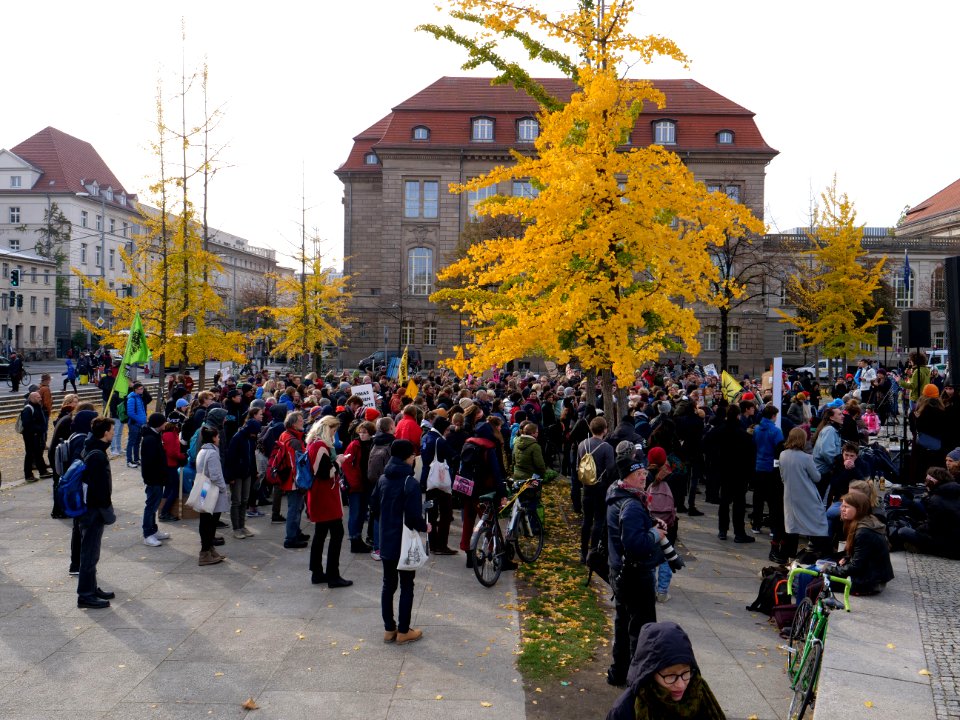 FridaysForFuture protest Berlin 01-11-2019 36