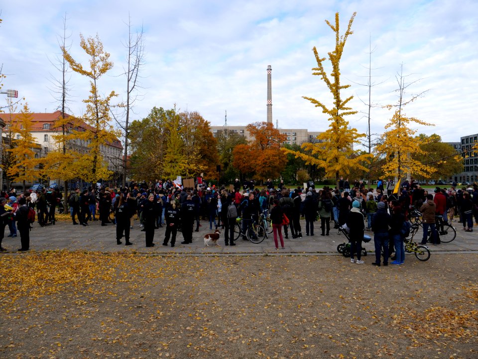 FridaysForFuture protest Berlin 08-11-2019 Invalidenpark 09