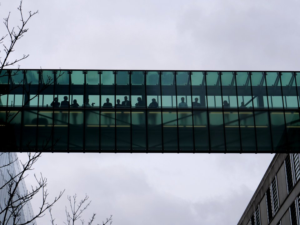 FridaysForFuture demonstration Berlin 15-03-2019 42