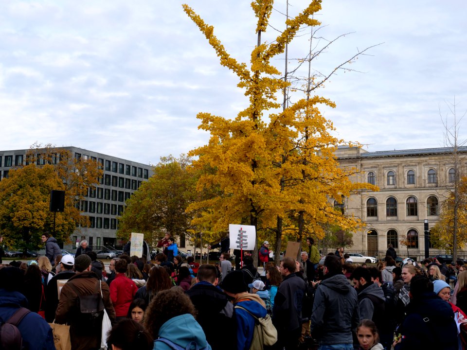 FridaysForFuture protest Berlin 08-11-2019 Invalidenpark 11
