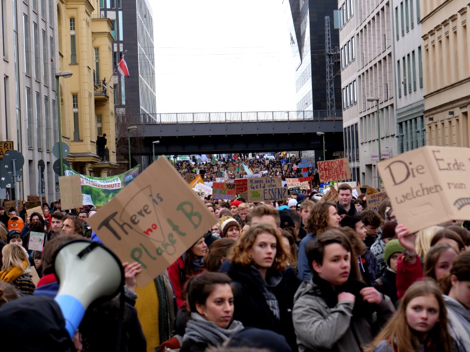 FridaysForFuture demonstration Berlin 15-03-2019 96