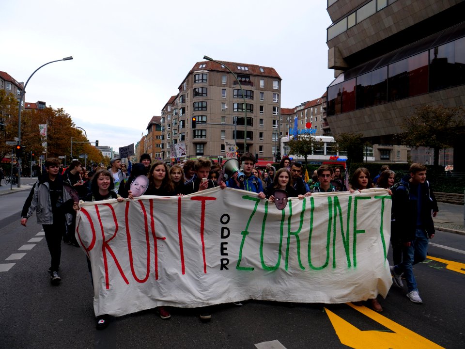 FridaysForFuture protest Berlin 08-11-2019 62