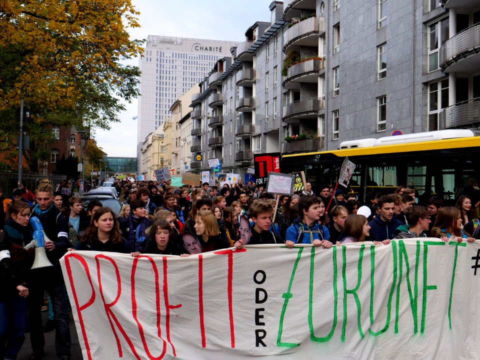 FridaysForFuture protest Berlin 08-11-2019 24
