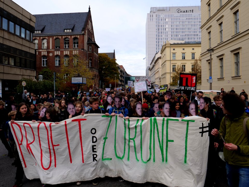 FridaysForFuture protest Berlin 08-11-2019 20