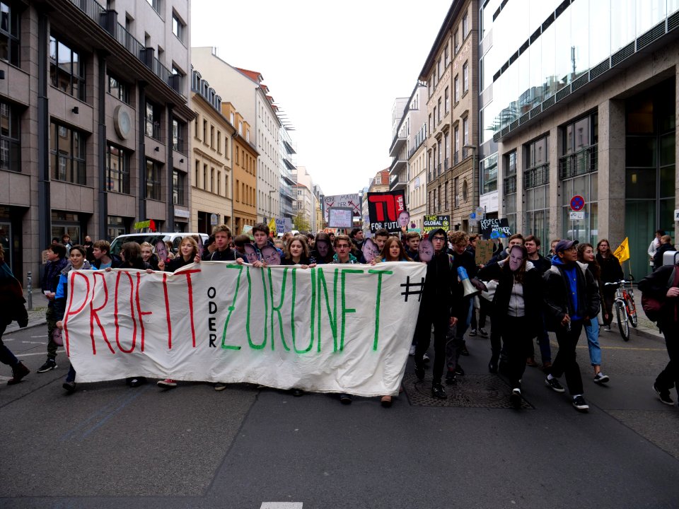 FridaysForFuture protest Berlin 08-11-2019 27