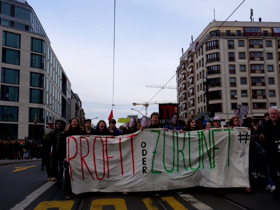 FridaysForFuture protest Berlin 08-11-2019 48