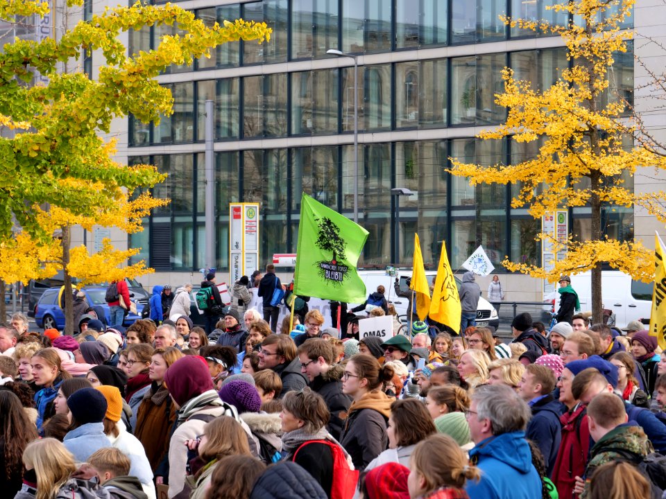 FridaysForFuture protest Berlin 01-11-2019 39