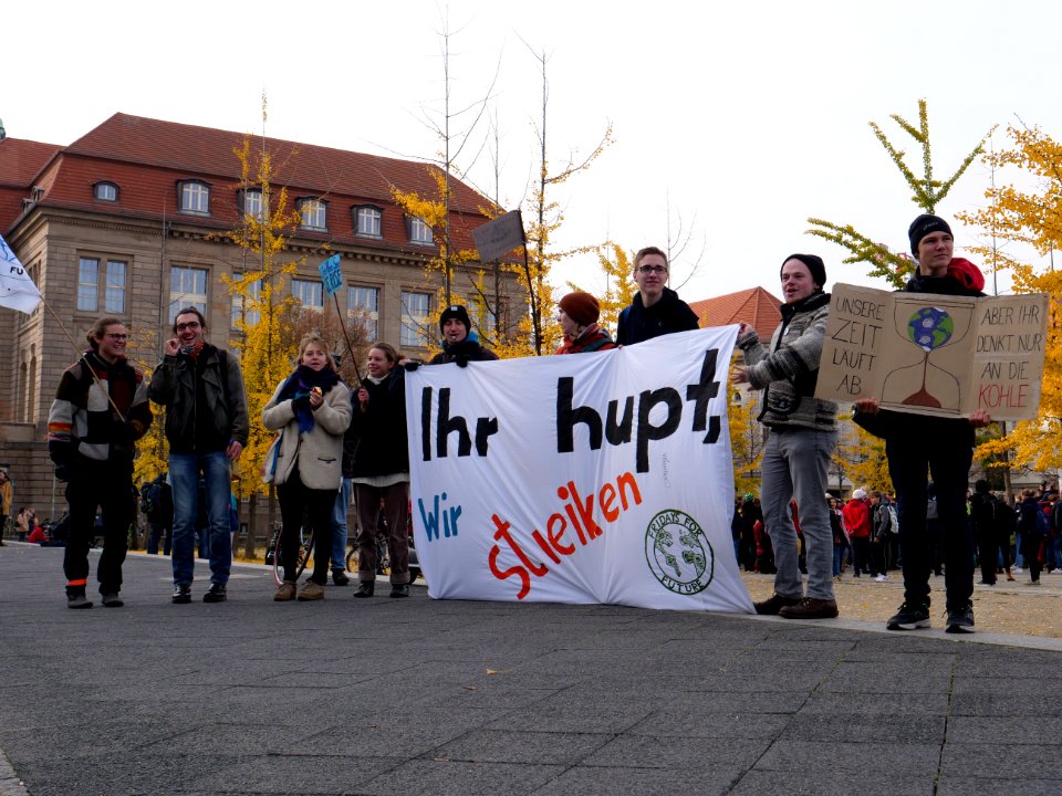 FridaysForFuture protest Berlin 01-11-2019 17