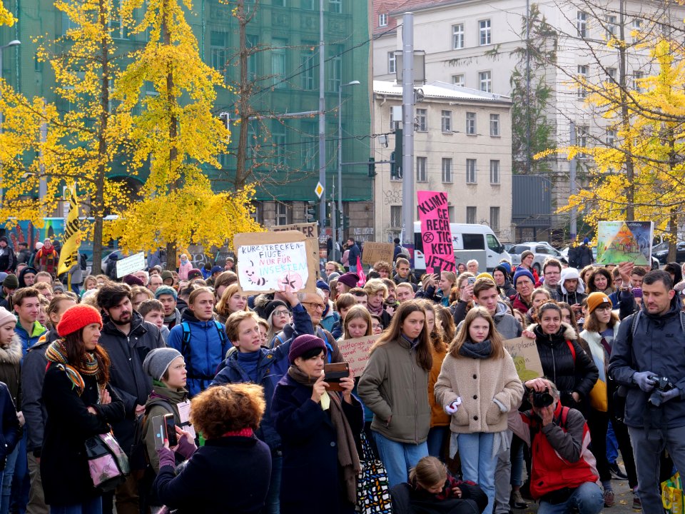 FridaysForFuture protest Berlin 01-11-2019 13