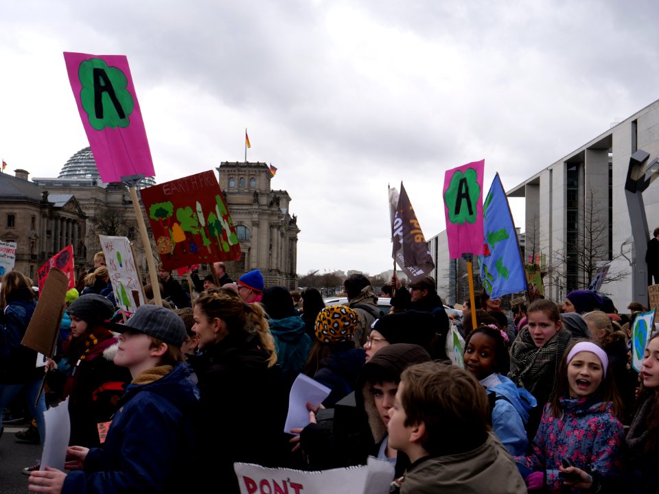 FridaysForFuture demonstration Berlin 15-03-2019 22